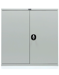 Шкаф Практик СВ-21