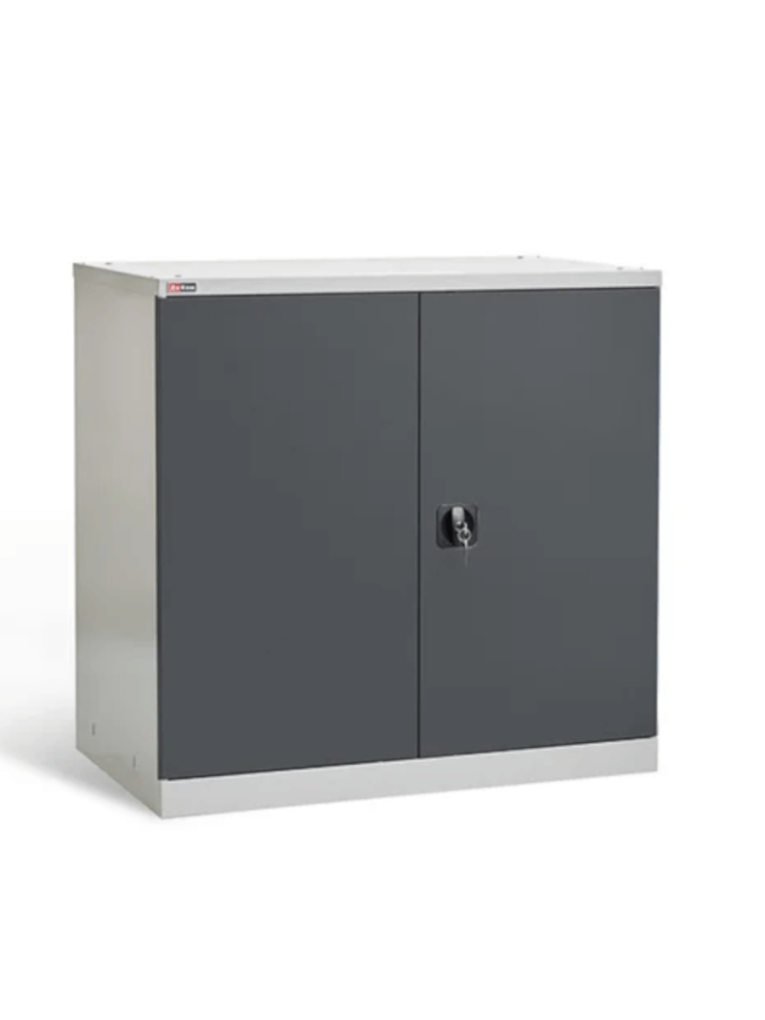 Шкаф инструментальный ДиКом ВЛ-051-01 купить в Саратове