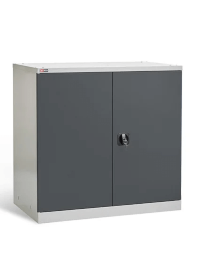 Шкаф инструментальный ДиКом ВЛ-051-02 купить в Саратове