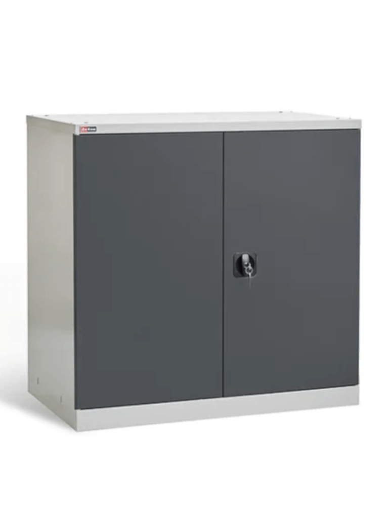 Шкаф инструментальный ДиКом ВЛ-051 (7038/7016) купить в Саратове